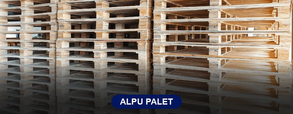 Alpu Paletçi