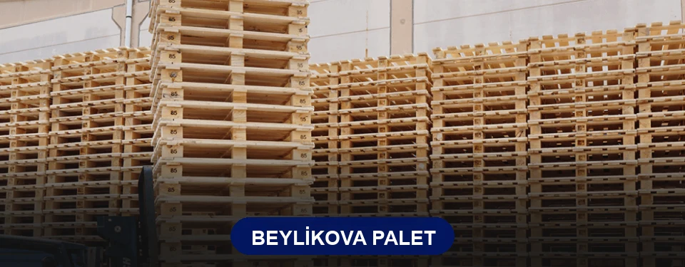 Beylikova Paletçi Beylikova Paletçi