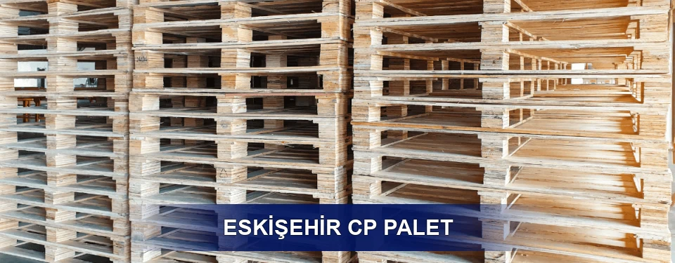 Eskişehir Standart Tipler