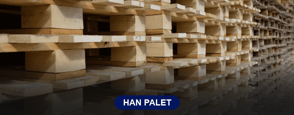 Han Paletçi Han Paletçi