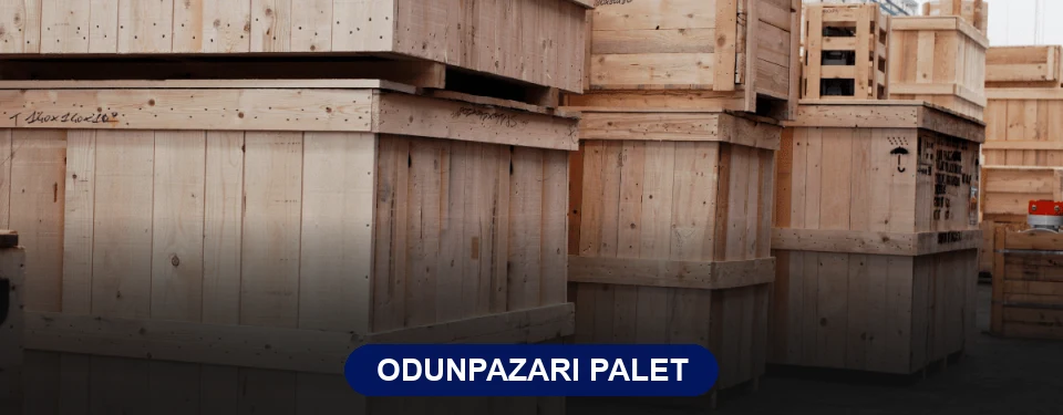 Odunpazarı Paletçi